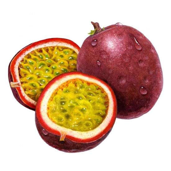 Passion Fruit Passion Fruit