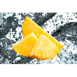 Pineapple Fizz - Concentrate