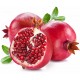 Pomegranate Pomegranate