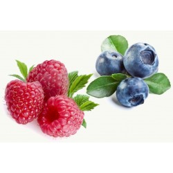 Raspberry & Blueberry