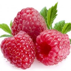 Raspberry (Zero Nicotine)