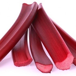 Rhubarb