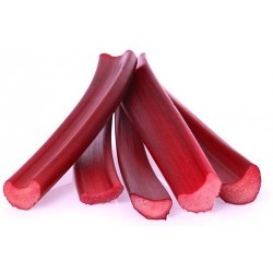 Rhubarb - Concentrate Rhubarb - Concentrate