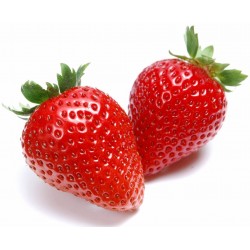 Strawberry (Zero Nicotine)
