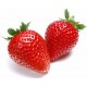 Strawberry Strawberry