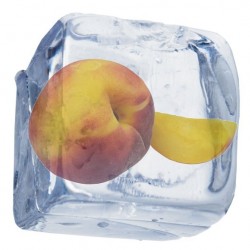 Nectarine Menthol