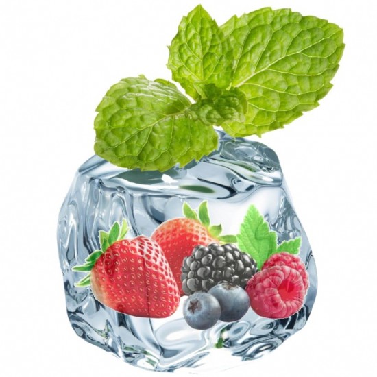 Berry Menthol - Short Fill Berry Menthol - Short Fill