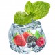 Berry Menthol Berry Menthol