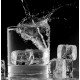 Black Ice Black Ice