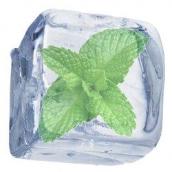 Ice Mint