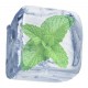 Ice Mint Ice Mint