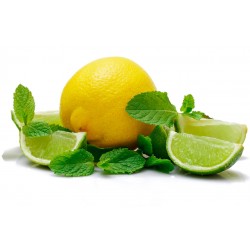 Minty Lemon & Lime - Short Fill 