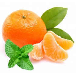 Minty Orange