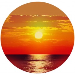 Summer Breeze - Concentrate