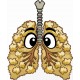 Popcorn Lung Popcorn Lung
