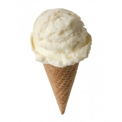 Vanilla Bean Ice Cream