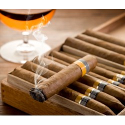 Cigar (Cuban) (Not Actually From Cuba) - Concentrate