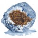 Ice Tobacco Ice Tobacco